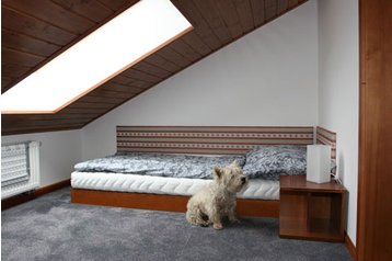 Австрия Privát Leogang, Экстерьер